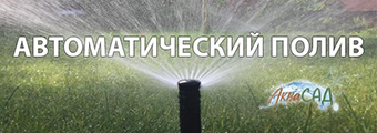 Автоматический полив
